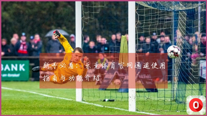新手必看：乐竞体育官网通道使用指南与功能介绍